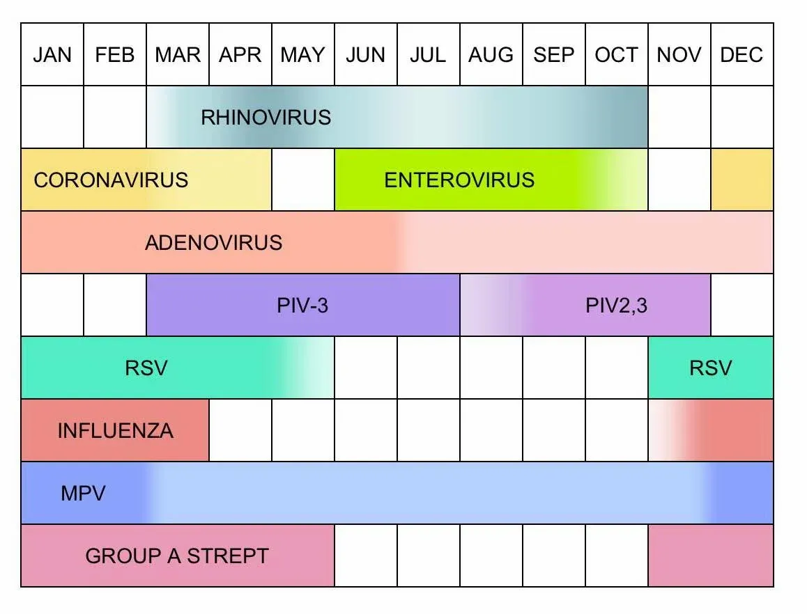 Seasonal variations in frequency of upper respiratory infections. Source: Medscape